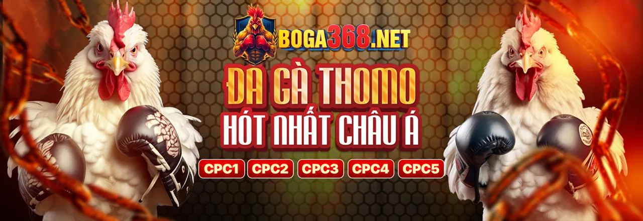 Đá gà MCW77 trực tuyến với khuyến mãi hấp dẫn