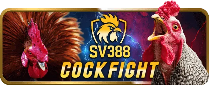 Hướng dẫn chơi bắn cá MCW77