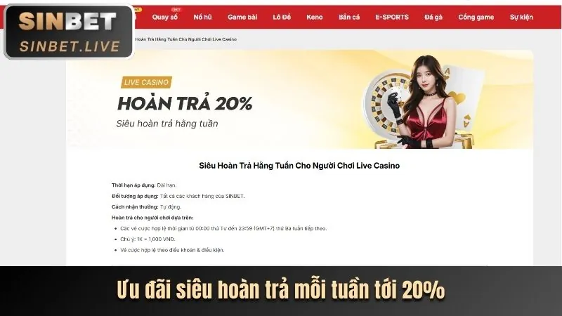 Hướng dẫn chi tiết các chương trình mcw77 khuyến mãi